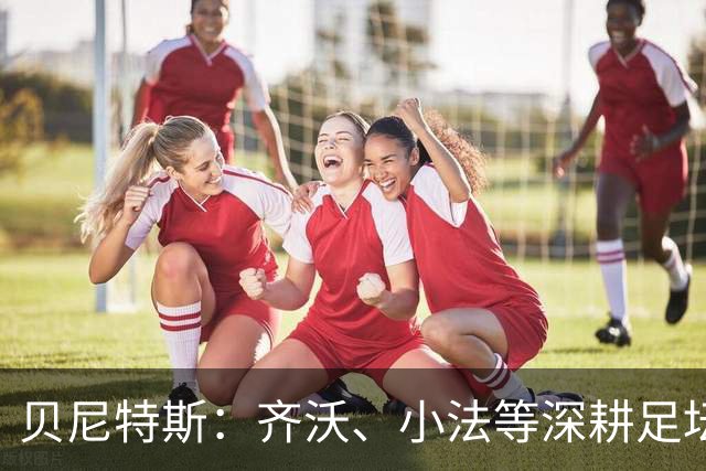 贝尼特斯：齐沃、小法等深耕足坛的人，就是意甲球队最可靠的底气